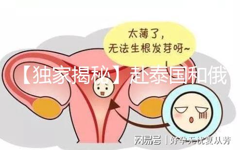 【獨家揭秘】赴泰國和俄羅斯試管嬰兒費(fèi)用為何那么大差異