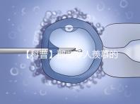 【科普】那些令人羨慕的優(yōu)質(zhì)胚胎有什么條件?