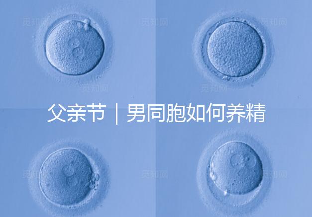 父親節|男同胞如何養精蓄銳,一發即中?