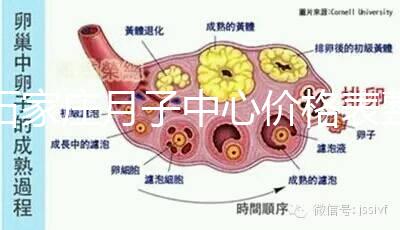 石家莊月子中心價(jià)格表整理，長安最貴最好的一家原來是它