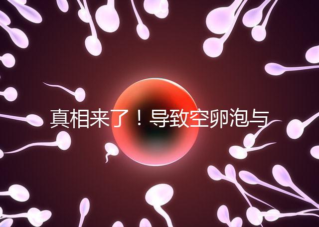 真相來了!導致空卵泡與多囊卵巢有關,區(qū)別在于以下四點,多研究