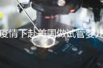 疫情下赴美國做試管嬰兒不安全，可提前做好準備工作