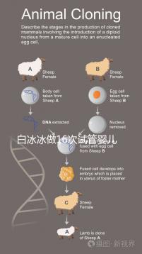 白冰冰做16次試管嬰兒欲挽回亡女48歲宣布無(wú)卵失敗
