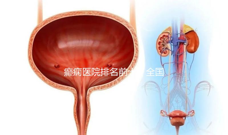 癲癇醫(yī)院排名前十（全國癲瘋病最好的醫(yī)院）