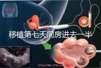 移植第七天同房進去一半有無影響戳，沒出血問題就不大