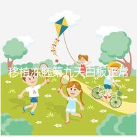 移植凍胚第九天白板正常嗎？懷孕其實還有希望