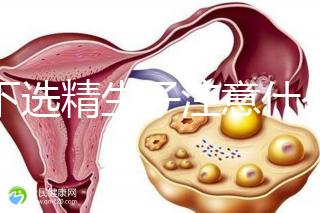 私下選精生子注意什么細(xì)節(jié)要早知，選擇正規(guī)機構(gòu)最重要