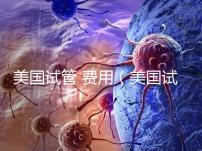 美國試管 費(fèi)用(美國試管費(fèi)用)