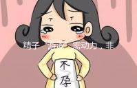 精子“游泳”需動(dòng)力，非前向運(yùn)動(dòng)率低才有好孕