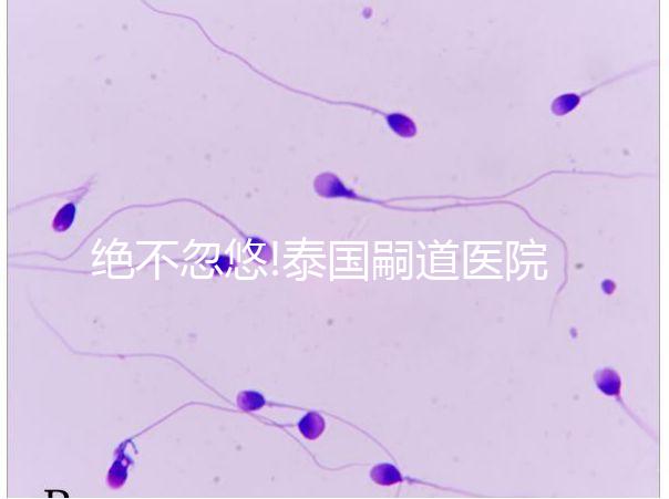 絕不忽悠!泰國嗣道醫院做試管嬰兒失敗多是這3個原因