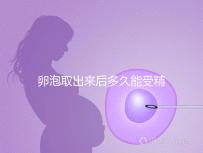 卵泡取出來(lái)后多久能受精做試管來(lái)瞧，想移植請(qǐng)算好時(shí)間