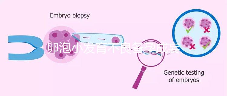 卵泡小發育不良備孕成妄想,閉鎖卵泡早檢查早治療