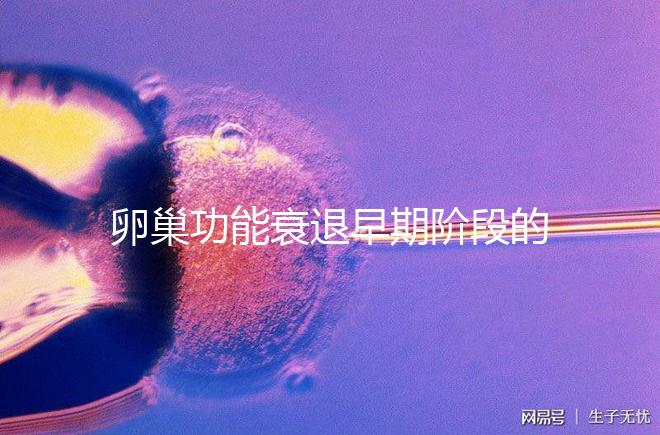 卵巢功能衰退早期階段的妊娠率釋疑，供卵試管嬰兒可>50%