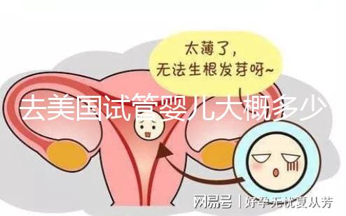 去美國試管嬰兒大概多少錢，省錢技巧有哪些必看