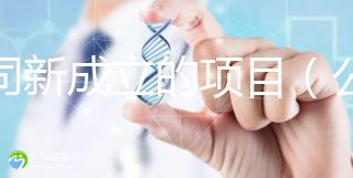 公司新成立的項(xiàng)目（公司新成立的項(xiàng)目歸屬投資人嗎）