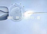假的、別人的都不行，國(guó)內(nèi)做試管無(wú)結(jié)婚證真不能過(guò)關(guān)！