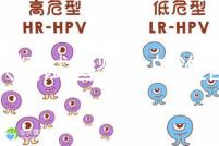 做供精試管嬰兒的準(zhǔn)備（供精試管嬰兒大概需要多少錢）