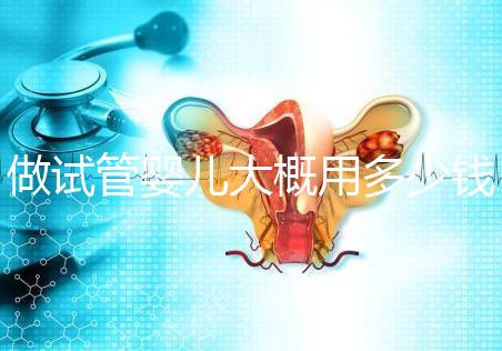 做試管嬰兒大概用多少錢，做試管嬰兒一般需要多少錢