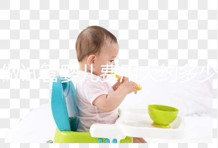 做試管嬰兒費用大約多少錢？