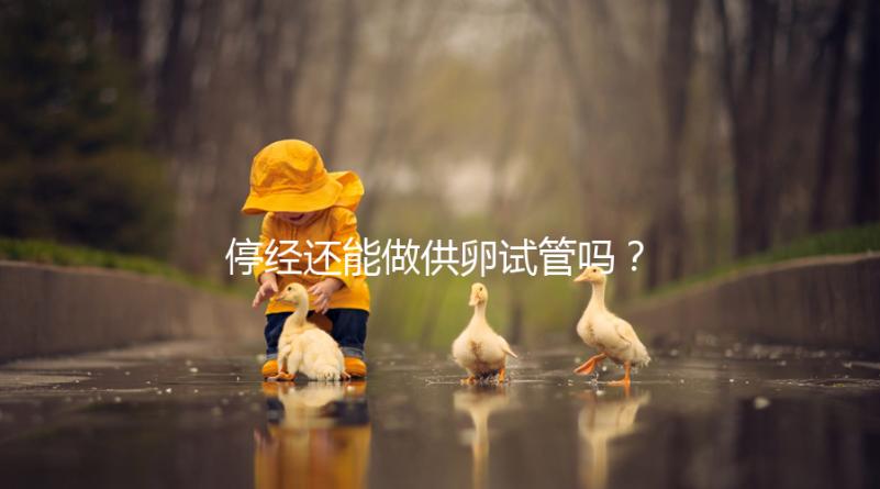 停經還能做供卵試管嗎？達到這4個條件成功率翻一番