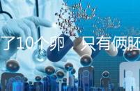 取了10個(gè)卵,只有倆胚胎?卵都去哪了?