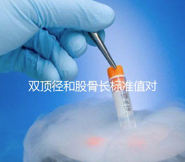 雙頂徑和股骨長標準值對照表，各懷孕周數差異明顯