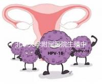 北華大學附屬醫院生殖中心試管怎么樣？2024年助孕成功率參考