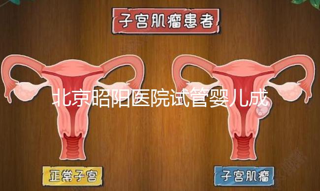 北京昭陽醫院試管嬰兒成功率？生殖醫院醫生排名推薦