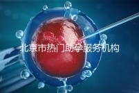 北京市熱門助孕服務機構排名榜單！這三家性價比比較出眾！