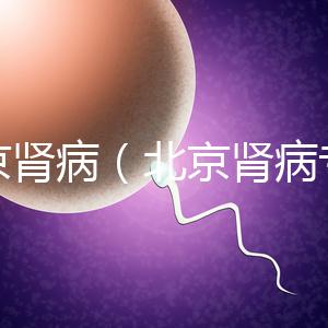 北京腎?。ū本┠I病專家排名）