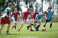 北京試管嬰兒醫院排名揭曉：價格合理，流程詳解