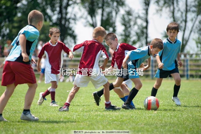 北京試管嬰兒醫(yī)院排名揭曉：價格合理，流程詳解