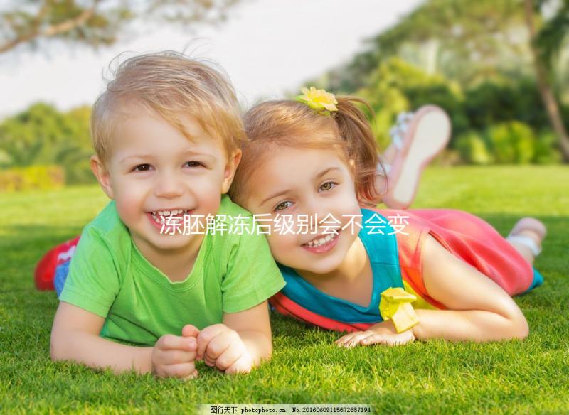 凍胚解凍后級別會不會變化有答案了，降級還是升級看情況