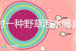 農(nóng)村一種野草泡水喝真能治便秘！配合這九種中草藥效果更好