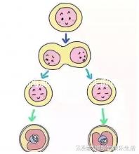 別再混淆著床和快來(lái)例假了,除了出血量還有這些區(qū)別