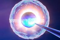 剛剛出爐！2024泰國試管嬰兒醫(yī)院最新排行榜