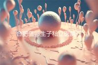 合肥借卵生子私立醫(yī)院匯總，2024哪家排名好一覽了然
