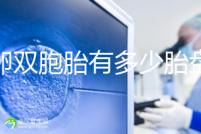 同卵雙胞胎有多少胎盤?1個(gè)or2個(gè)當(dāng)場(chǎng)講給你聽(tīng)