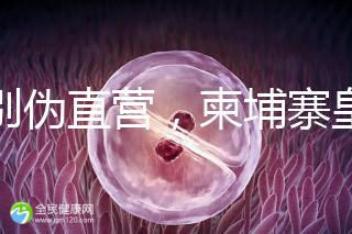 告別偽直營，柬埔寨皇家生殖遺傳醫(yī)院RFG中國辦事處指南