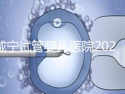 咸寧試管嬰兒醫(yī)院2024年成功率排名公開，哪家好一目了然