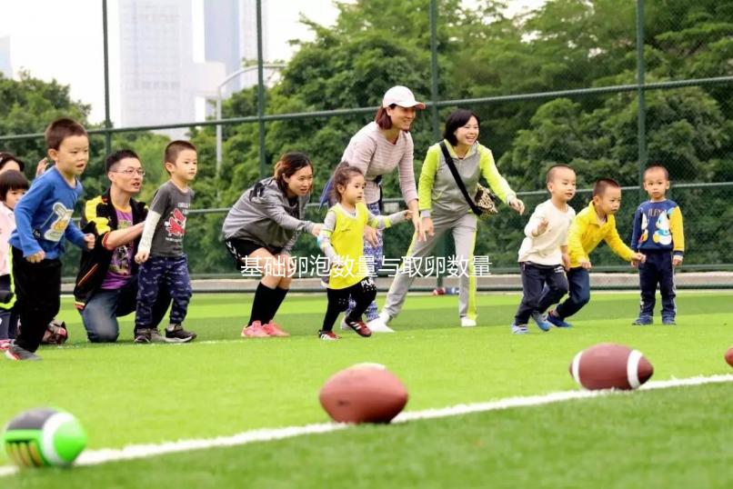 基礎卵泡數量與取卵數量有差異,并不影響試管70%受精率