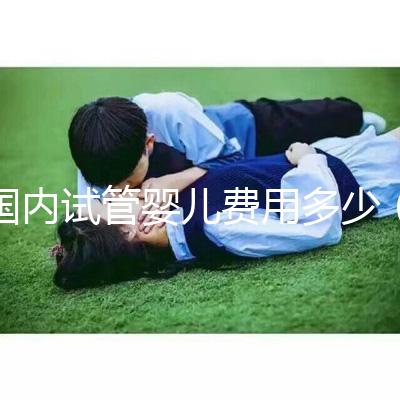 國(guó)內(nèi)試管嬰兒費(fèi)用多少(國(guó)內(nèi)試管嬰兒費(fèi)用多少錢(qián))