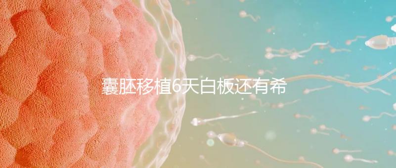 囊胚移植6天白板還有希望嗎？別沮喪該來的總是會來的