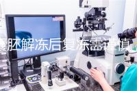 囊胚解凍后復凍需謹慎，這些對胚胎質(zhì)量的影響不可不知