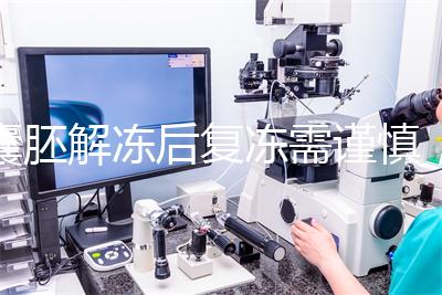 囊胚解凍后復凍需謹慎，這些對胚胎質量的影響不可不知