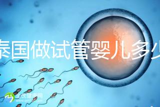 在泰國(guó)做試管嬰兒多少錢（在泰國(guó)做試管嬰兒多少錢？）