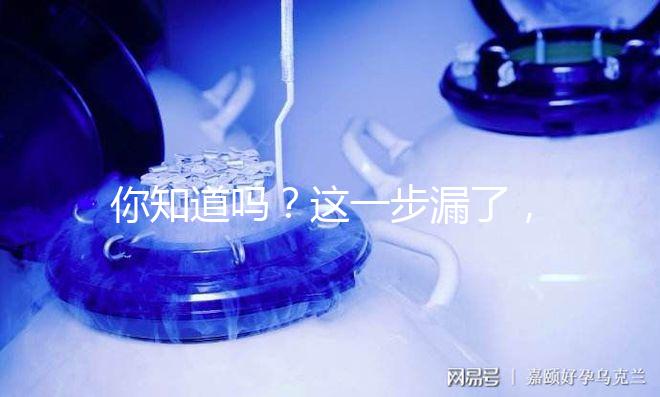 你知道嗎？這一步漏了，赴美國做試管嬰兒有簽證也走不了