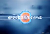 供卵試管嬰兒移植成功率高，一次就能成？很多人都被坑過