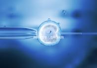 供卵試管嬰兒選擇好醫(yī)院是關(guān)鍵，泰國(guó)好的生殖中心有這些