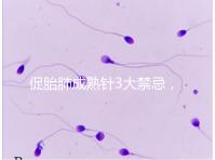 促胎肺成熟針3大禁忌,這份使用前注意事項(xiàng)請(qǐng)查收